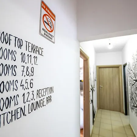 Auberge de jeunesse Lazy Roo