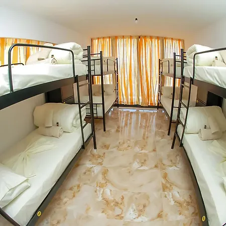 Auberge de jeunesse Lazy Roo