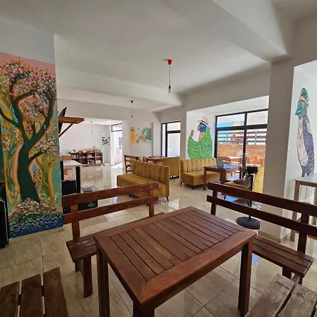 Lazy Roo Auberge de jeunesse