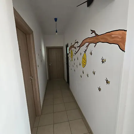 Lazy Roo סרנדה